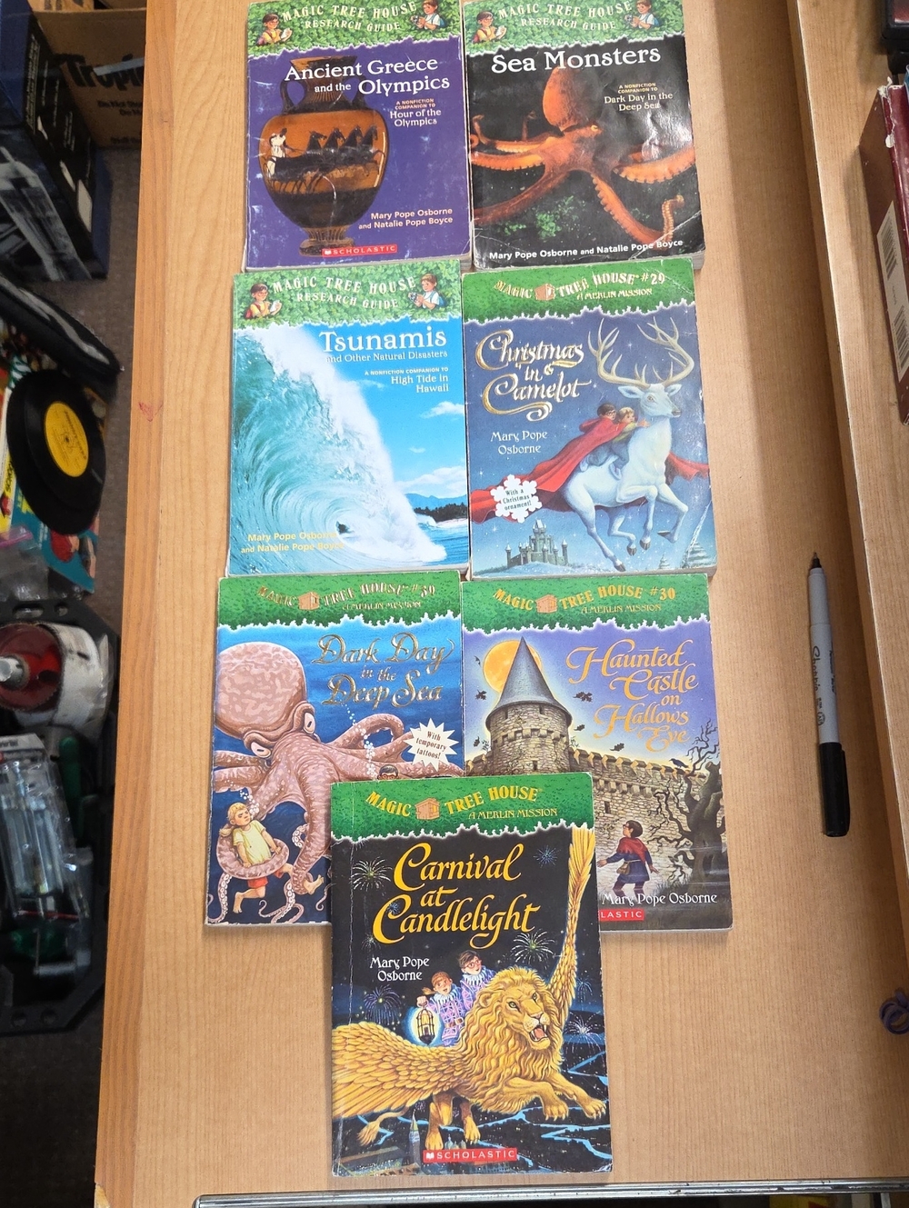 Magic Tree House books Lot of 7